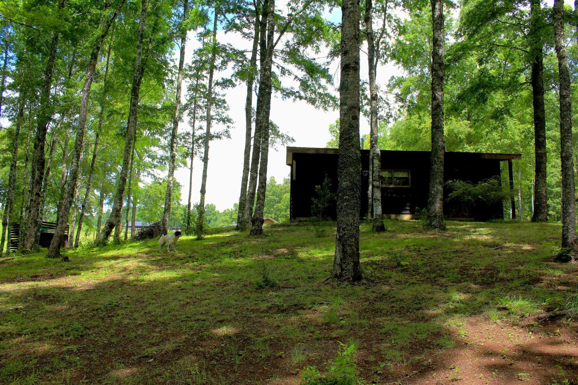 Cabanas Am Berg Pucón Esterno foto