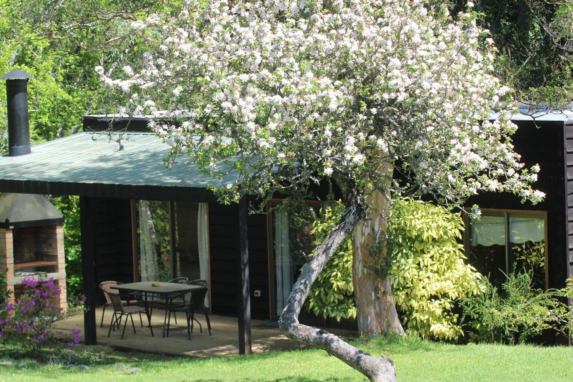 Cabanas Am Berg Pucón Esterno foto