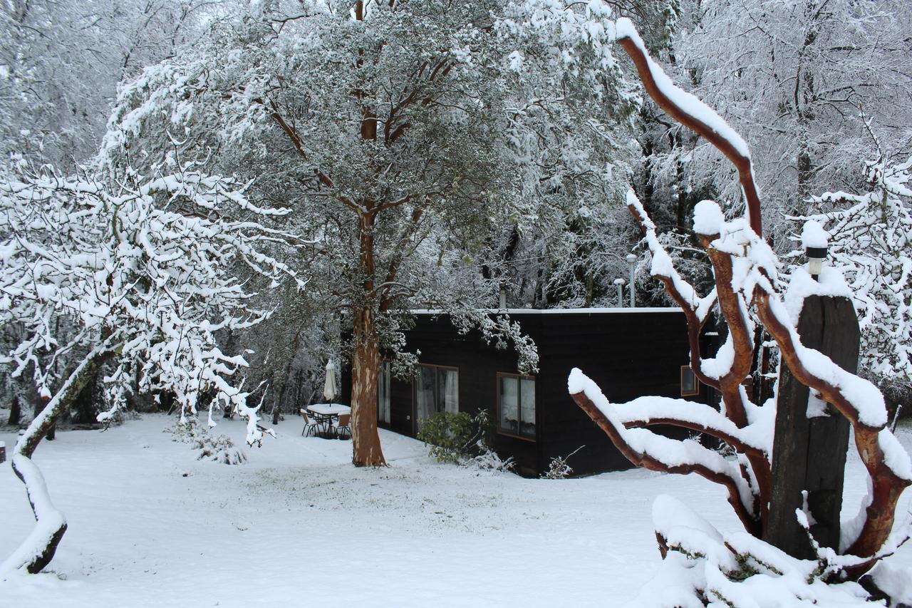 Cabanas Am Berg Pucón Esterno foto