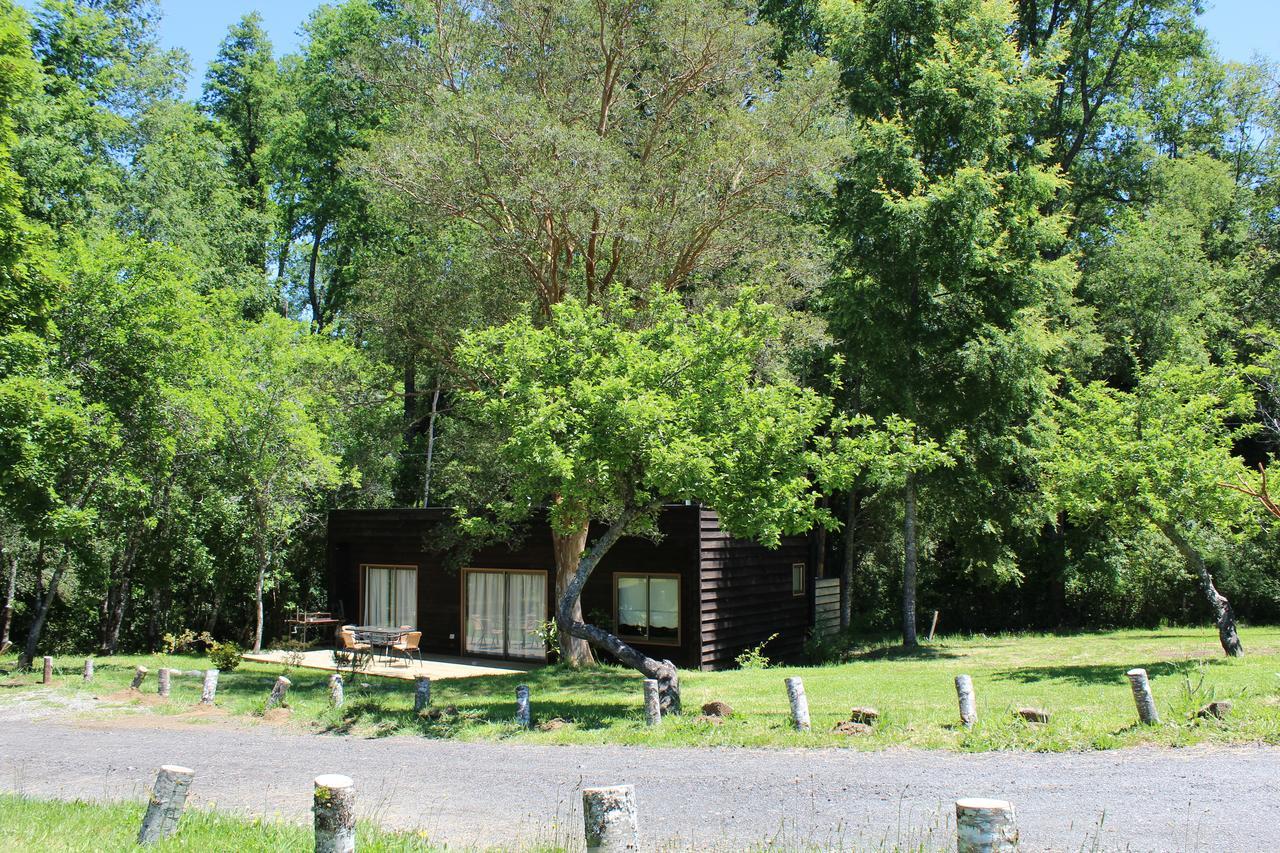 Cabanas Am Berg Pucón Esterno foto